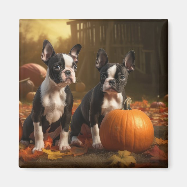 Boston Terrier Valp Höstglädje Pumpa Magnet (Framsidan)