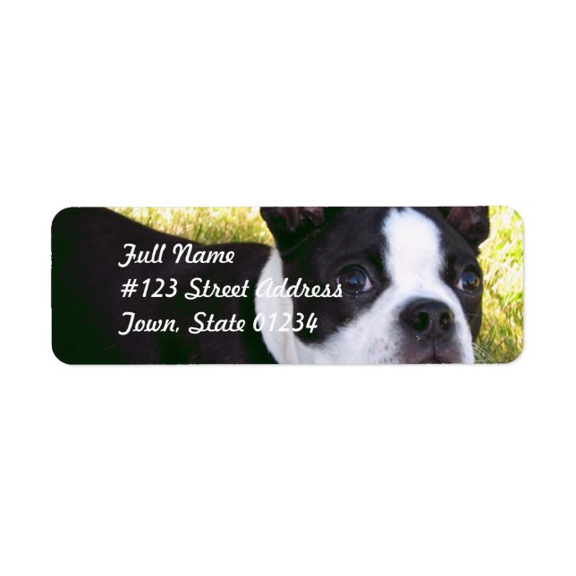 Boston Terrier Valp Mailing Labels Returadress Etikett (Framsidan)