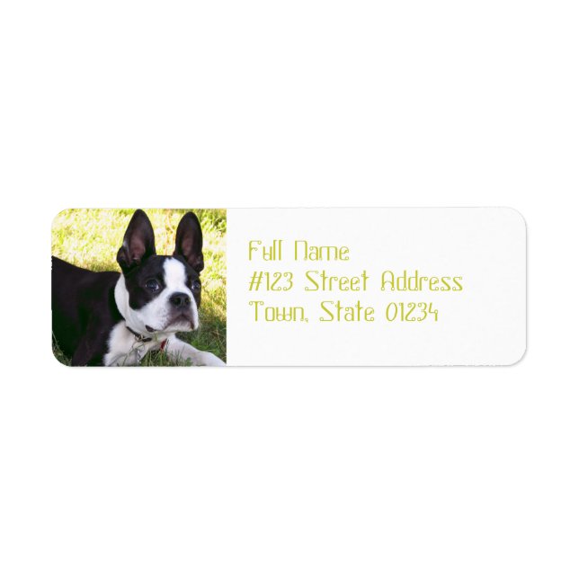 Boston Terrier Valp Mailing Labels Returadress Etikett (Framsidan)