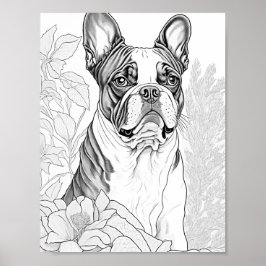 Boston Terrier Vuxen Coloring Poster