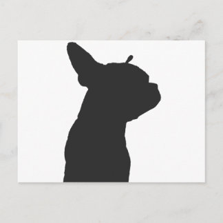 Boston Terrier Vykort