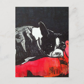 Boston Terrier Vykort