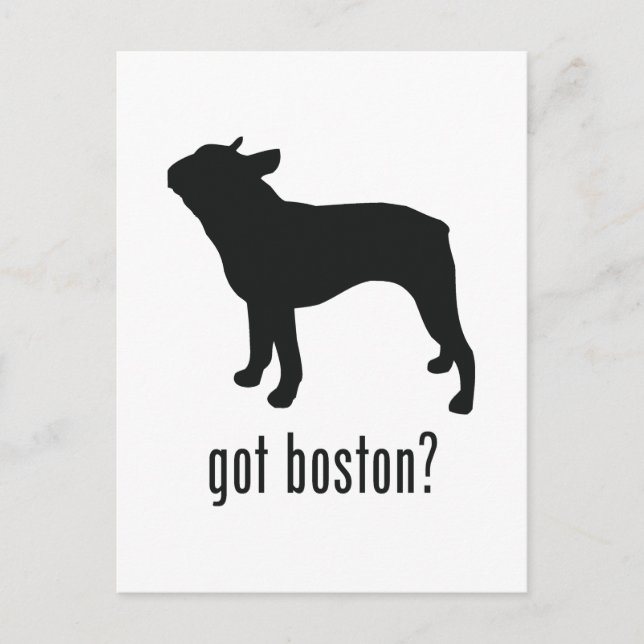 Boston Terrier Vykort (Framsida)