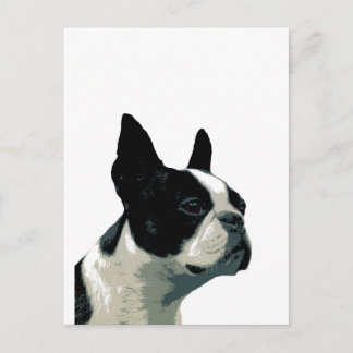 Boston Terrier Vykort