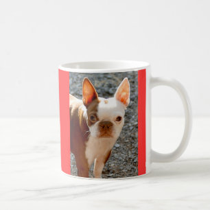 Boston Terrier w/Name Kaffemugg