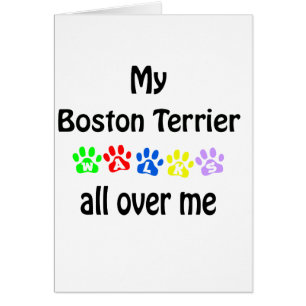 Boston Terrier Walks Design Hälsningskort