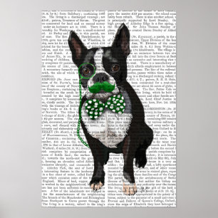 Boston Terrier With Grönt Mustache Poster
