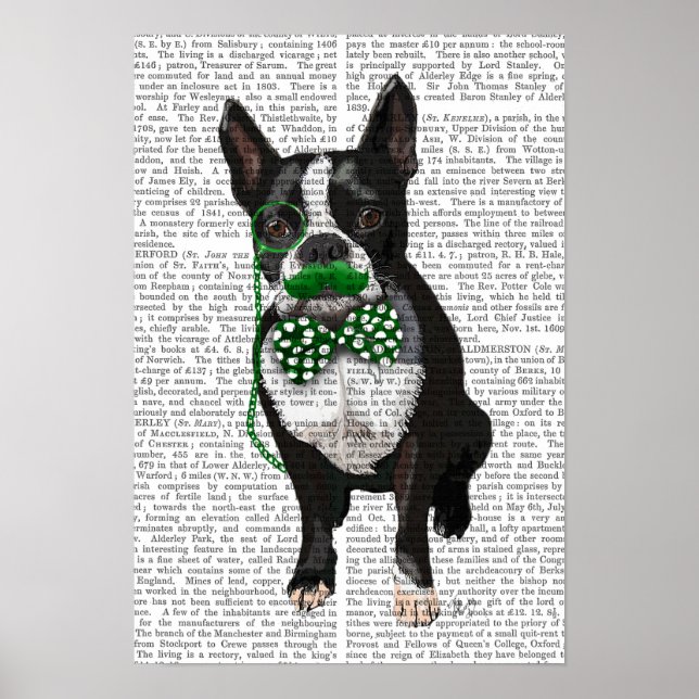 Boston Terrier With Grönt Mustache Poster (Framsidan)