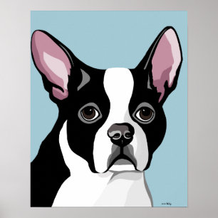 Boston Terrieraffischer Poster