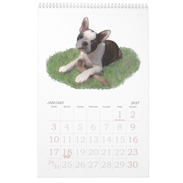 Boston Terrierbabyar Kalender (Jan 2027)