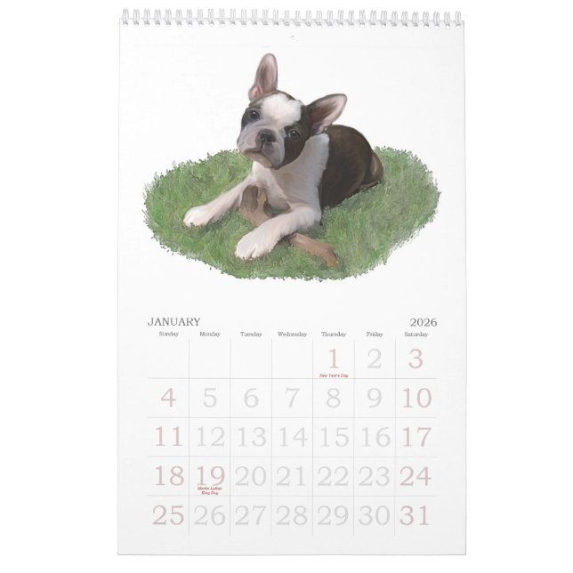 Boston Terrierbabyar Kalender (Jan 2026)
