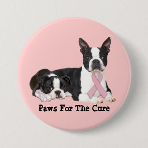 Boston Terrierbröstcancer knäppas Knapp