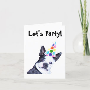 Boston Terrierfödelsedagsfest inbjudan