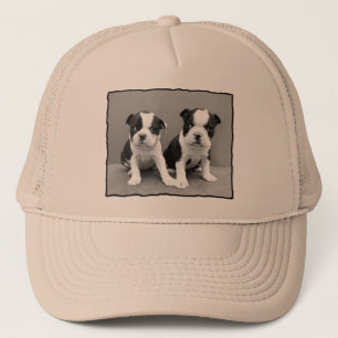 Boston Terrierhatt Keps