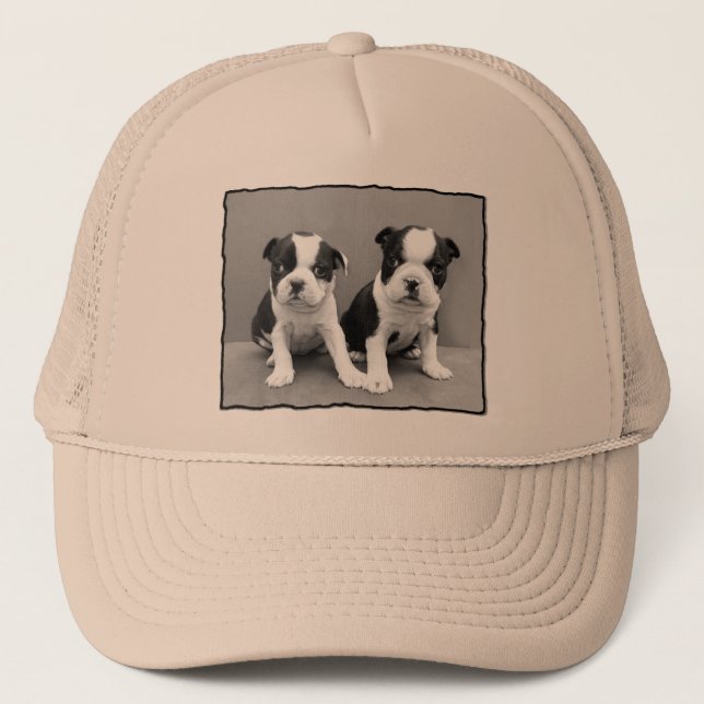 Boston Terrierhatt Keps (Framsida)