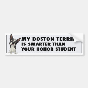 Boston Terrierheder BOST1 Bildekal