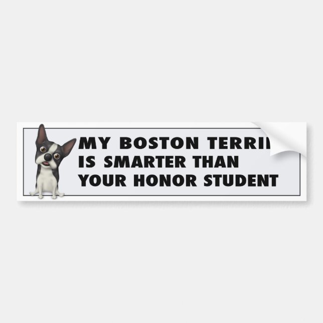 Boston Terrierheder BOST1 Bildekal (Framsidan)