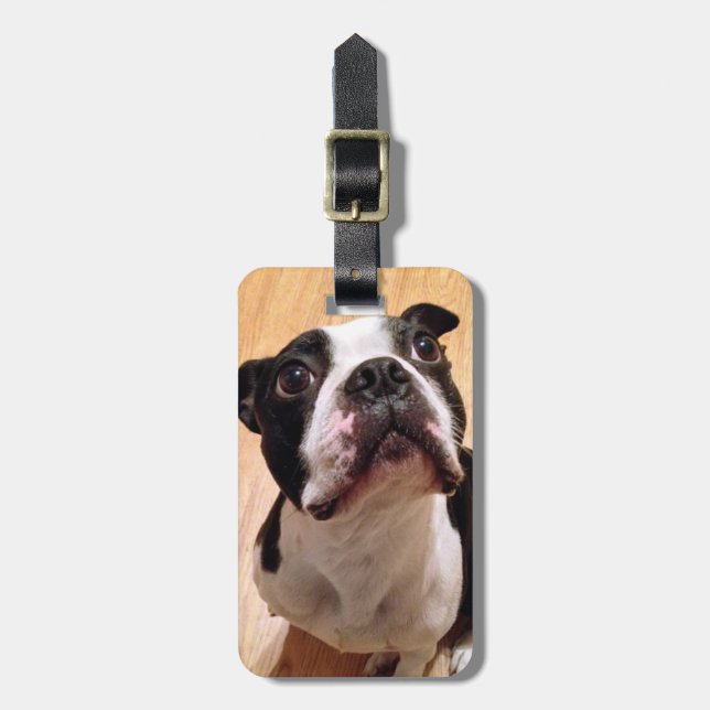 Boston Terrierhund Bagagebricka (Vertikal Framsida)