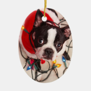 Boston Terrierhund, i att blinka ljusprydnaden Julgransprydnad Keramik