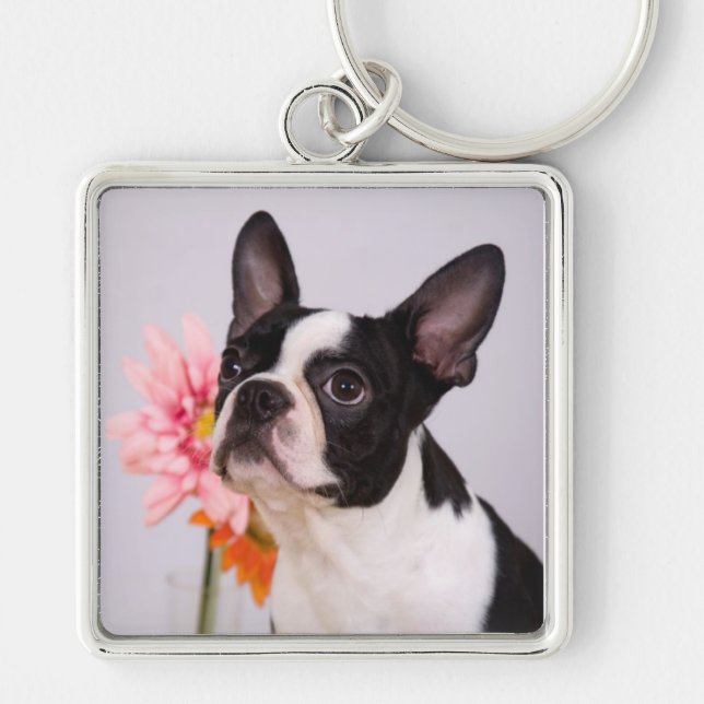 Boston Terrierhund med rosablomman Keychain Fyrkantig Silverfärgad Nyckelring (Framsidan)