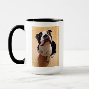 Boston Terrierhund Mugg