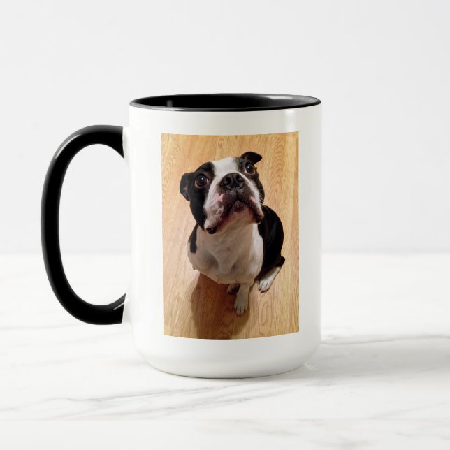 Boston Terrierhund Mugg (Vänster)