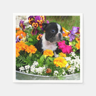 Boston Terrierhund Pappersservett