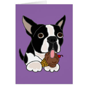 Boston Terrierhund som äter glass Hälsningskort