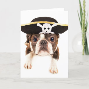 Boston Terrierhund som kläs som en pirat Kort