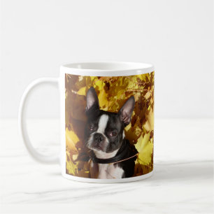 Boston Terrierhund som omges av höst lövmuggen Kaffemugg