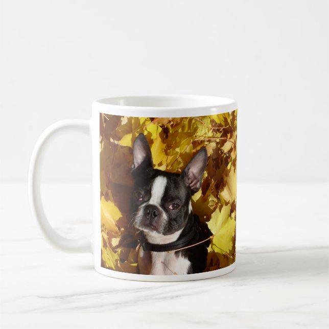 Boston Terrierhund som omges av höst lövmuggen Kaffemugg (Vänster)