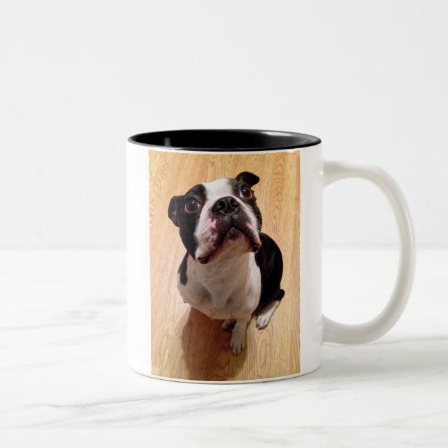 Boston Terrierhund Två-Tonad Mugg (Höger)