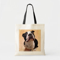Boston Terrierhund