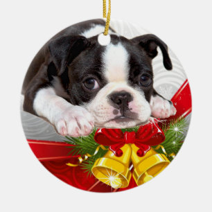 Boston Terrierjul som hänger prydnaden Julgransprydnad Keramik