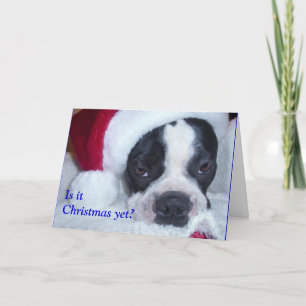 Boston Terrierjulkort Helgkort
