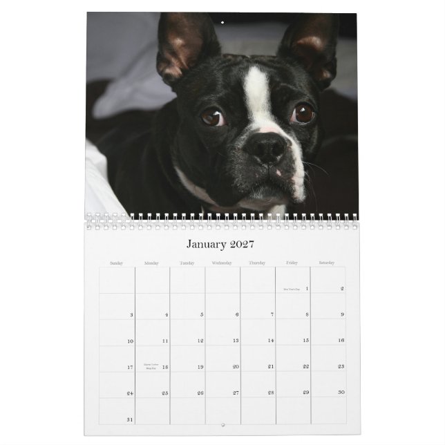 Boston Terrierkalender 2009 Kalender (Jan 2027)