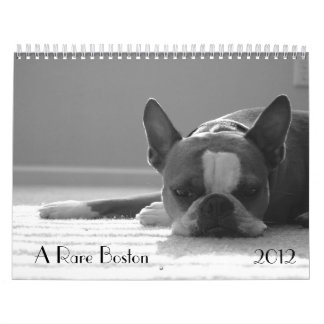 Boston Terrierkalender 2012 Kalender