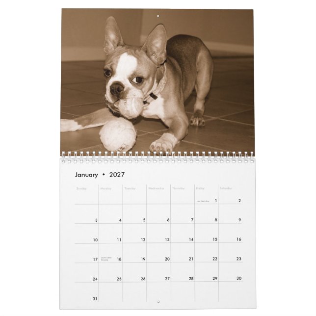 Boston Terrierkalender 2012 Kalender (Jan 2027)