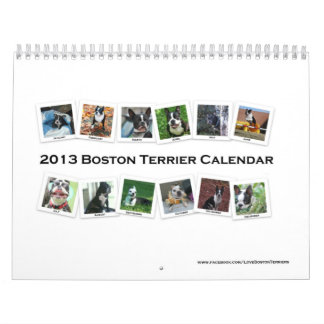 Boston Terrierkalender 2013 Kalender