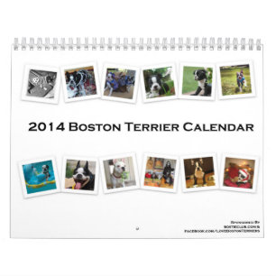 Boston Terrierkalender 2014 Kalender
