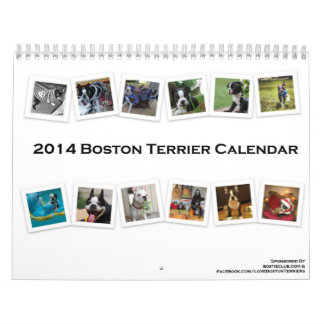 Boston Terrierkalender 2014 Kalender