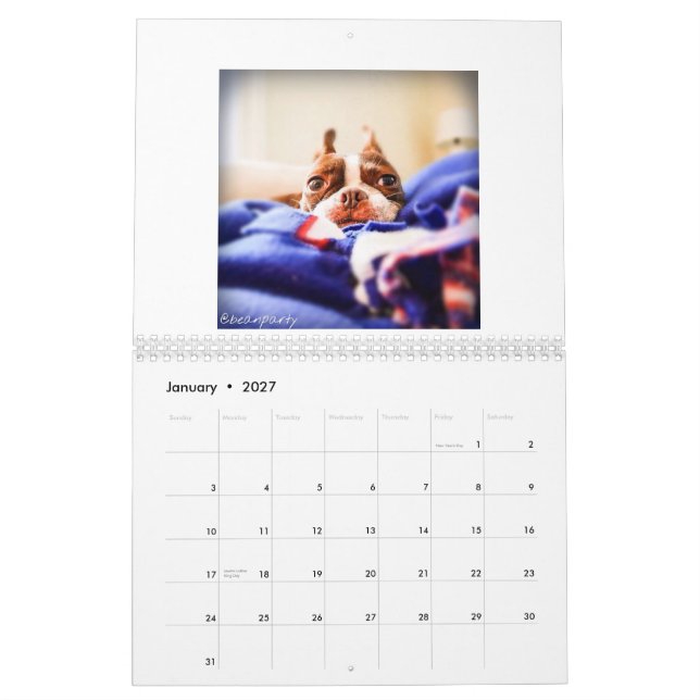 Boston Terrierkalender 2015 Kalender (Jan 2027)