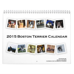 Boston Terrierkalender 2015 Kalender