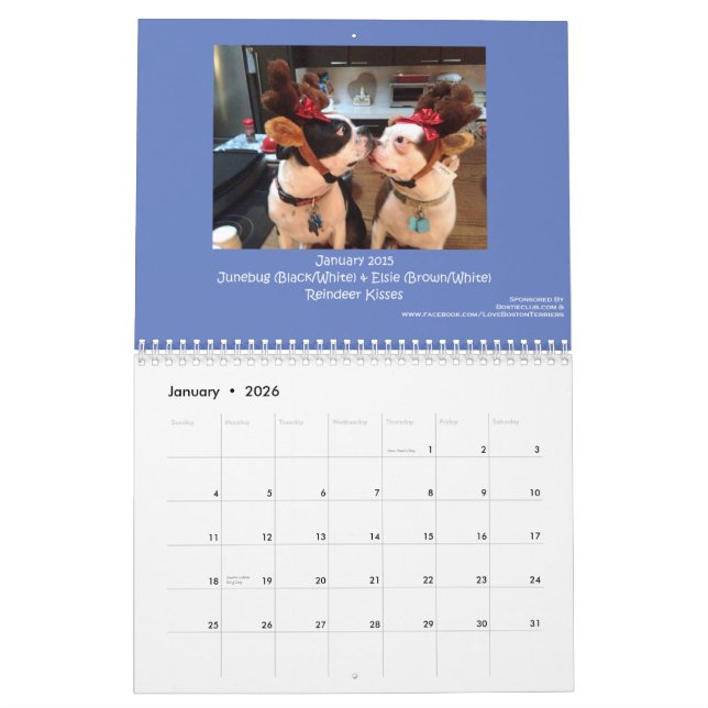 Boston Terrierkalender 2015 Kalender (Jan 2026)