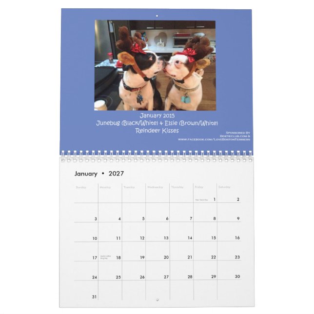 Boston Terrierkalender 2015 Kalender (Jan 2027)