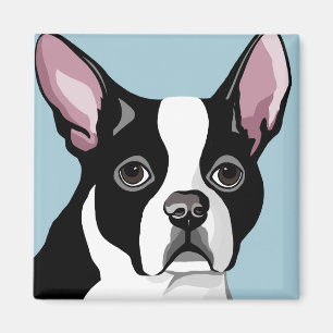 Boston Terriermagneter Magnet