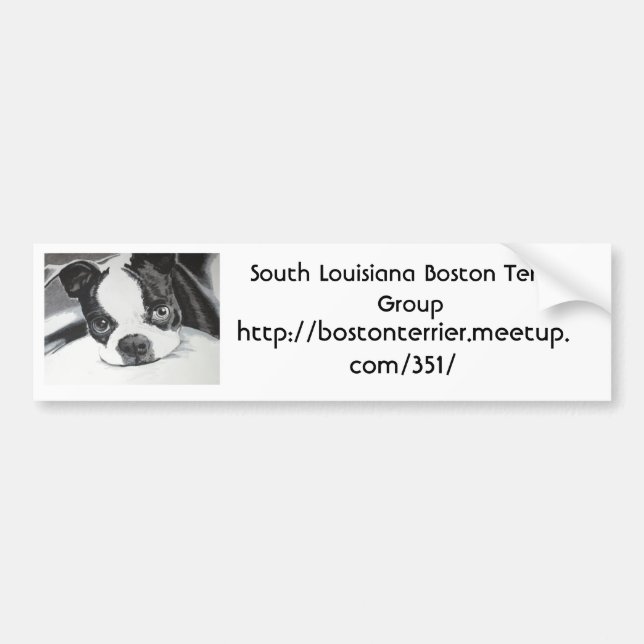 Boston TerrierMeetup grupp Bildekal (Framsidan)