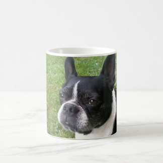 boston terriermugg kaffemugg