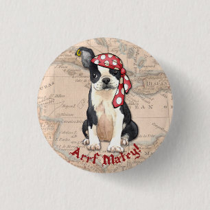 Boston Terrierpirat Knapp