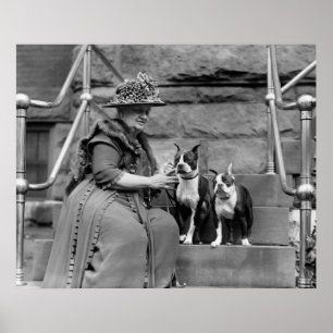 Boston Terriers, 20-tal Poster